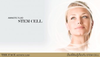 เรื่องที่ต้องรู้เกี่ยวกับ STEM CELL