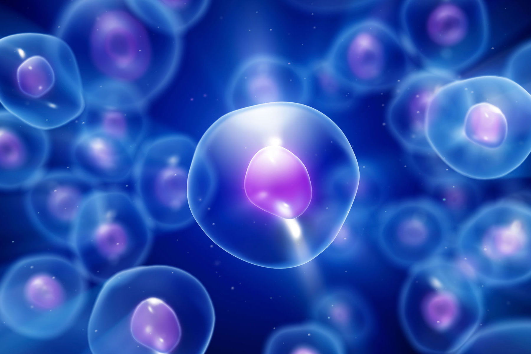 STEM CELL ในพวกครีมและอาหารเสริม เป็นไปได้จริง ??